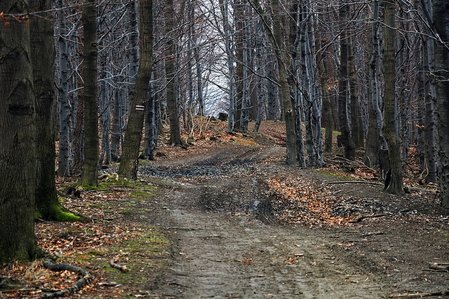 Urlop w Szczyrku. Czy to dobry pomysł?