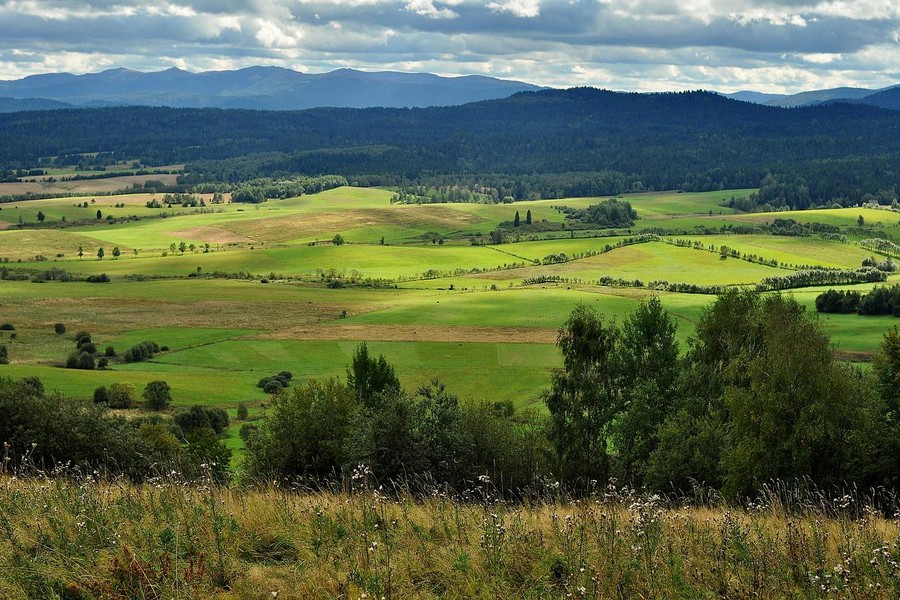 Letni urlop w górach. Jak prawidłowo go zaplanować?